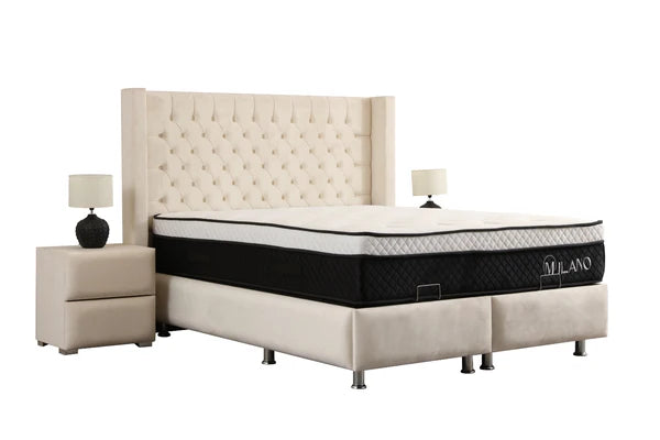 Lit Coffre BIANCA BLANC CASSE - Velours