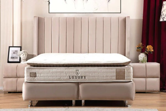 Lit Coffre TOKYO BEIGE ou GRIS - Velours