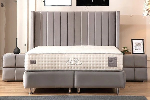 Lit Coffre TOKYO BEIGE ou GRIS - Velours