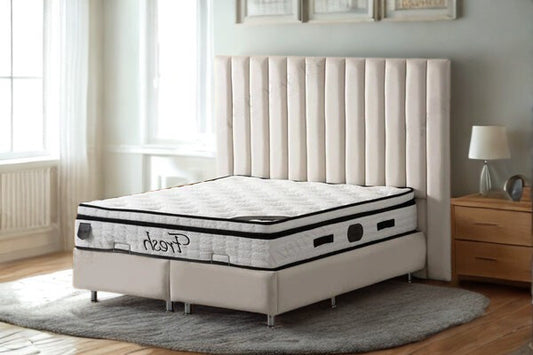 Lit Coffre ATHENA BLANC CASSE - VELOURS